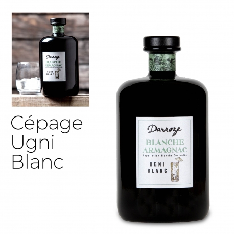 Bas Armagnac - Darroze - Blanche - Ugni Blanc