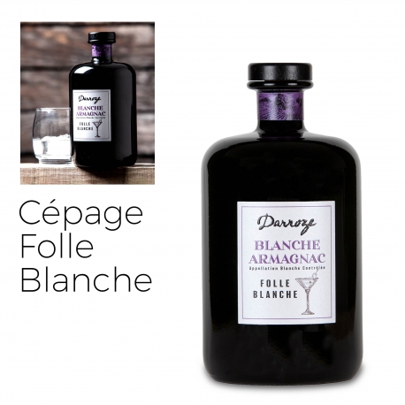 Bas Armagnac - Darroze - Blanche - Folle Blanche