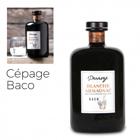 Bas Armagnac - Darroze - Blanche - Baco